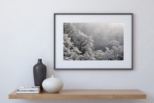 Load image into Gallery viewer, arthurs pass winter hoar frost