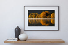 Load image into Gallery viewer, autumn lake reflections twizel print