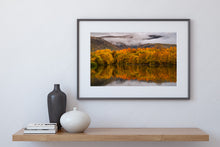 Load image into Gallery viewer, Autumn Mood Twizel