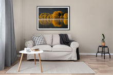 Load image into Gallery viewer, Autumn Golden Lake Reflections