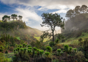 New Zealand 2025 Landscape Calendar