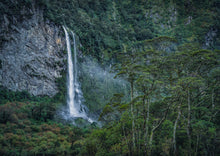 Load image into Gallery viewer, campbells kingdom waterfall fiordland