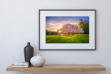 Load image into Gallery viewer, Cherry Blossom Tree Sunset