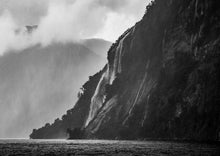 Load image into Gallery viewer, Doubtful Sound Monochrome Mood