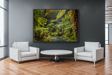 Load image into Gallery viewer, Fern Forest Fairyland Rotorua