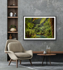 Fern Forest Fairyland Rotorua