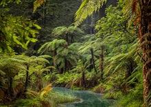 Load image into Gallery viewer, New Zealand 2026 Landscape Calendar
