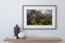 Load image into Gallery viewer, Fiordland Forest Mood