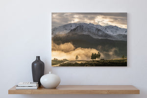 fiordland mountains mist trees