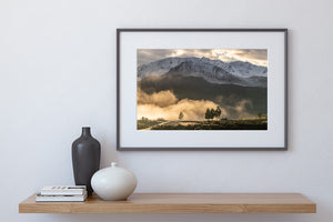 fiordland mountains mist trees