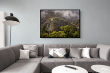 Load image into Gallery viewer, Fiordland Forest Mood