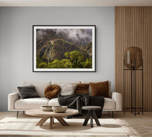 Load image into Gallery viewer, Fiordland Forest Mood