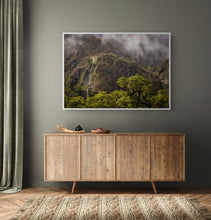 Load image into Gallery viewer, Fiordland Forest Mood
