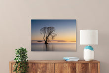 Load image into Gallery viewer, Golden Morning Taupo Tree