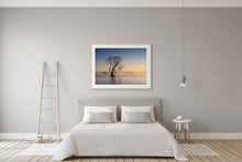 Load image into Gallery viewer, Golden Morning Taupo Tree