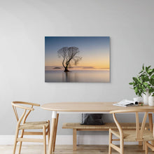 Load image into Gallery viewer, Golden Morning Taupo Tree