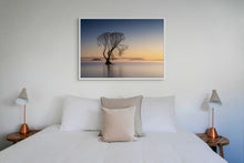 Load image into Gallery viewer, Golden Morning Taupo Tree