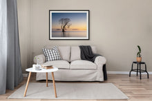 Load image into Gallery viewer, Golden Morning Taupo Tree