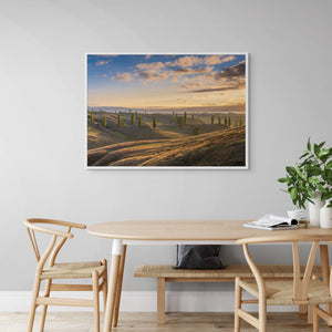 Golden Tuscan Sunrise Waikato