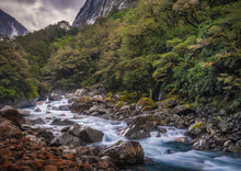 Load image into Gallery viewer, Hollyford River Misty Peaks