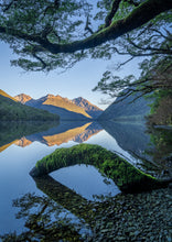 Load image into Gallery viewer, lake gunn forest reflections fiordland