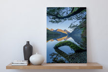 Load image into Gallery viewer, lake gunn forest reflections fiordland