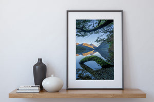 lake gunn forest reflections fiordland