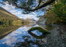Load image into Gallery viewer, lake gunn reflections fiordland