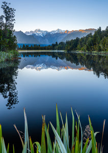 lake matheson sunrise flax sidelight