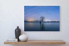 Load image into Gallery viewer, taupo star trails tree