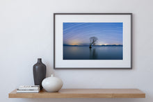 Load image into Gallery viewer, taupo star trails tree