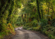 Load image into Gallery viewer, lush west coast forest road