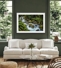 Load image into Gallery viewer, Marian River Fern Forest