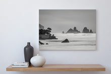 Load image into Gallery viewer, motukiekie beach black white west coast