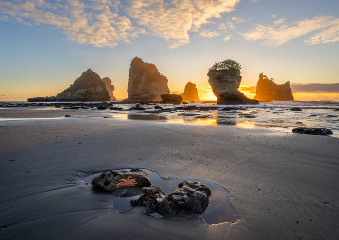 motukiekie beach starfish sunset