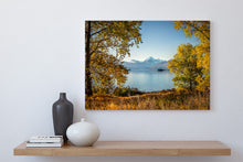 Load image into Gallery viewer, autumn trees lake pukaki mt cook