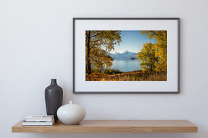 autumn trees lake pukaki mt cook