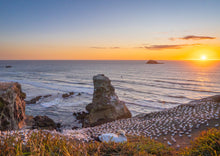 Load image into Gallery viewer, NZ 2027 Scenic Landscape Calendar
