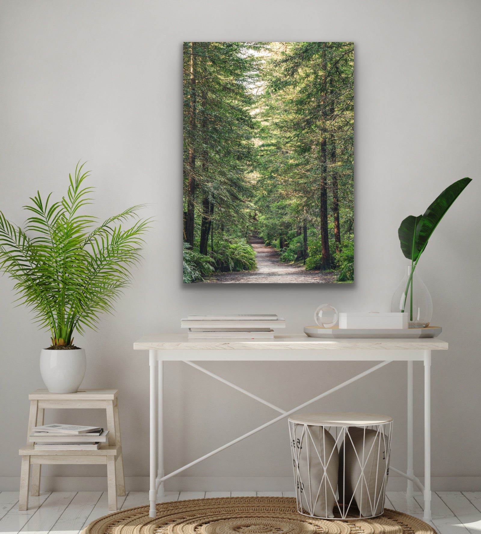 Redwood Forest Path Rotorua NZ Fine Art Prints Canvas Meghan redwood-forest-path-rotorua-nz-fine-art-prints-canvas-meghan