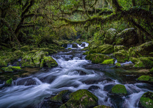 New Zealand 2026 Landscape Calendar