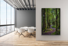 Load image into Gallery viewer, Routeburn Forest Winding Path