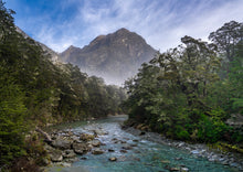 Load image into Gallery viewer, routeburn river forest mist queenstown