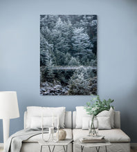 Load image into Gallery viewer, Beech Forest Winter Hoar Frost