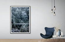 Load image into Gallery viewer, Beech Forest Winter Hoar Frost