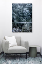 Load image into Gallery viewer, Beech Forest Winter Hoar Frost