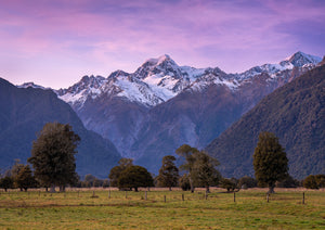 nz southern alps fox glacier sunrise