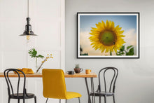 Load image into Gallery viewer, Sunflower Golden Hour