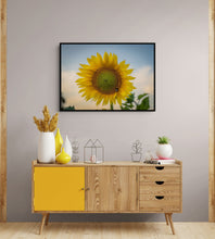 Load image into Gallery viewer, Sunflower Golden Hour