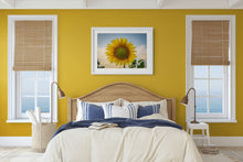 Load image into Gallery viewer, Sunflower Golden Hour