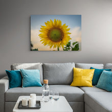 Load image into Gallery viewer, Sunflower Golden Hour